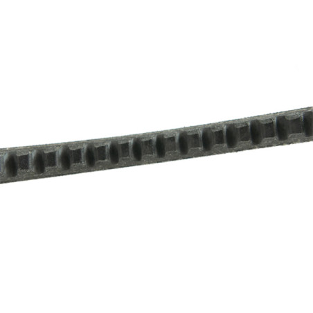 Courroie scarificateur Wolf URP