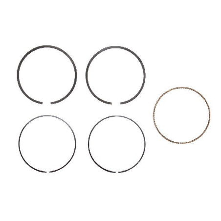 Segment moteur tondeuse Briggs et Stratton