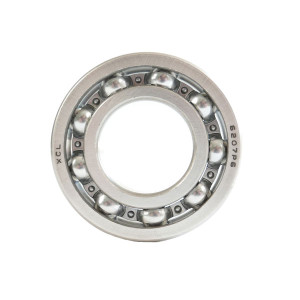 Roulement moteur autoportée GGP