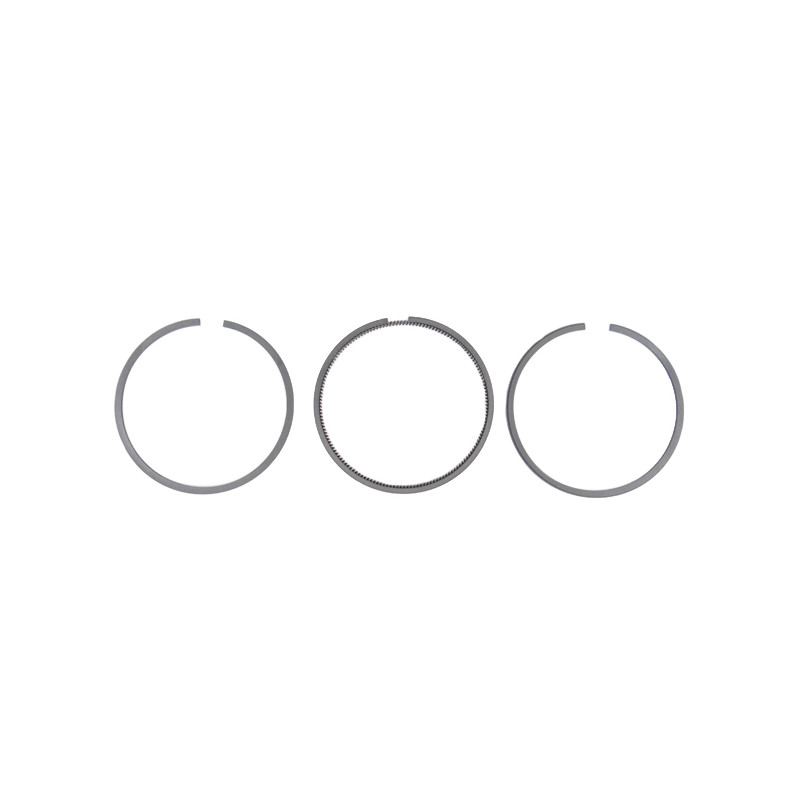 Jeu segments tondeuse moteur Briggs & Stratton