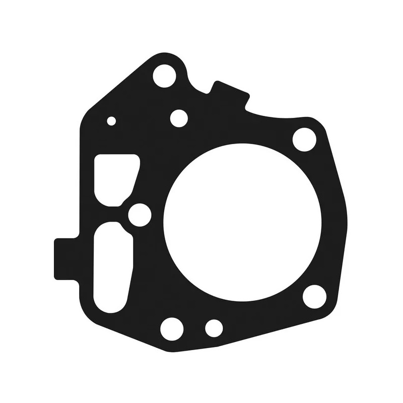 Joint de culasse moteur autoportée Kawasaki