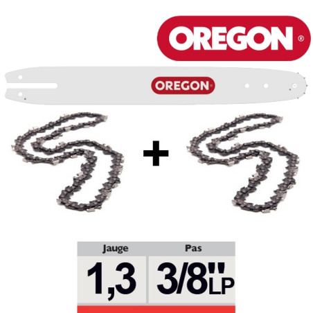 Pack 1 guide + 2 chaînes tronçonneuse Oregon SDEA074