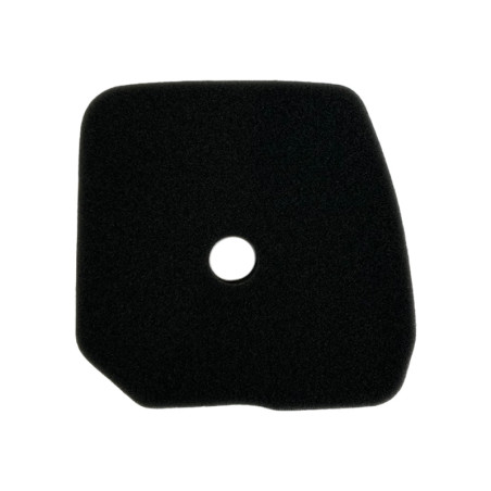 Filtre à air Kawasaki TJ053E