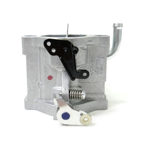 Carburateur moteur Briggs et Stratton