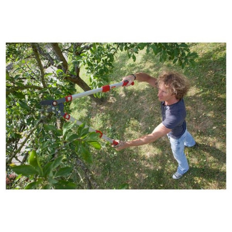 Élagueur télescopique à enclume Wolf OR900T