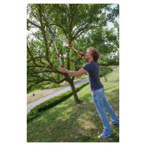 Élagueur télescopique à enclume Wolf OR900T