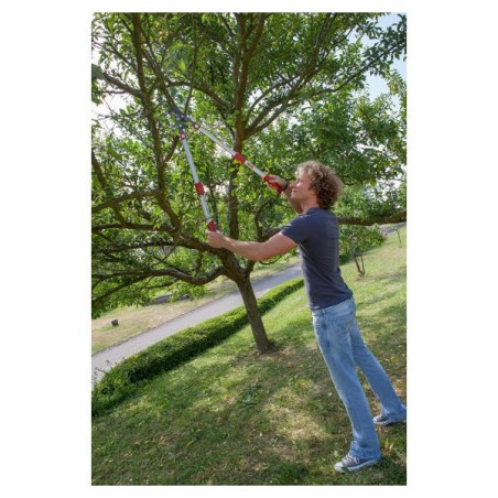 Élagueur télescopique à enclume Wolf OR900T