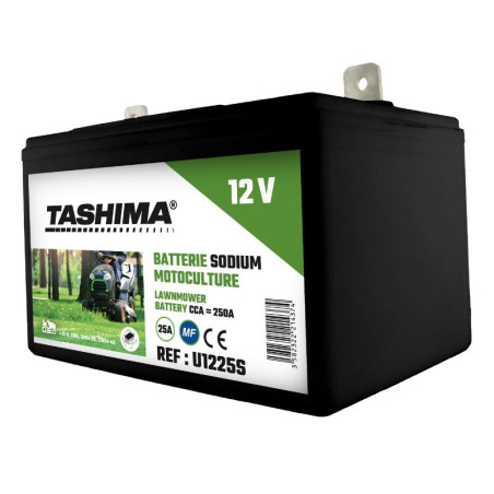 Batterie Tashima Sodium-Ion 12V-25A