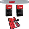 Kit guide + 2 chaines Forestier Pro Oregon 649556 modal atc
