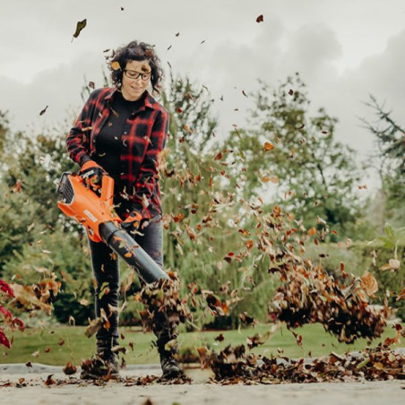 Souffleur à batterie Echo DPB310 nu