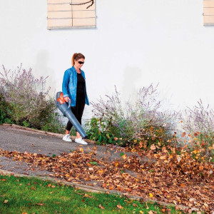 Pack souffleur à batterie Oleo Mac BVi60 40V - 5Ah