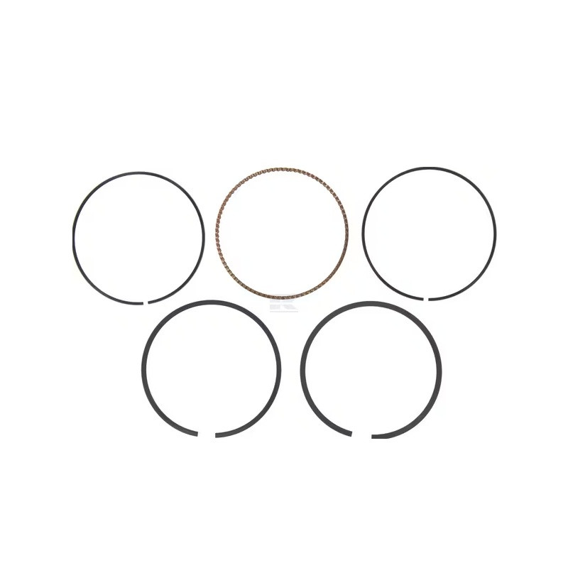 Jeu de segment moteur Briggs et Stratton