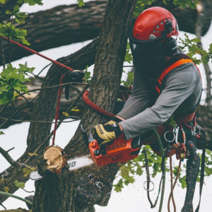 Élagueuse thermique Echo CS303T guide chaine 30 cm, moteur 30cm3