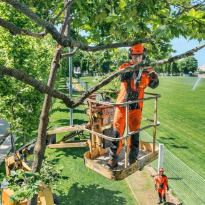 Tronçonneuse élagueuse professionnelle Husqvarna T435 - moteur 35,2 cm3