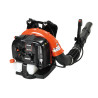 Souffleur thermique à dos Echo PB770 PRO modal atc