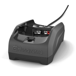 Pack élagueuse sur perche à batterie Husqvarna 120iTK4-P - coupe 25 cm