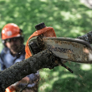 Pack élagueuse sur perche à batterie Husqvarna 120iTK4-P - coupe 25 cm