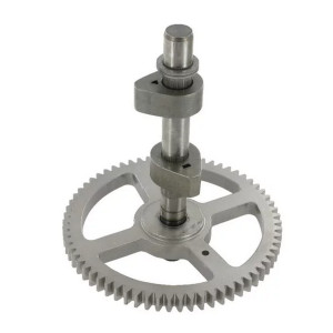 Arbre à cames moteur autoportée Briggs et Stratton