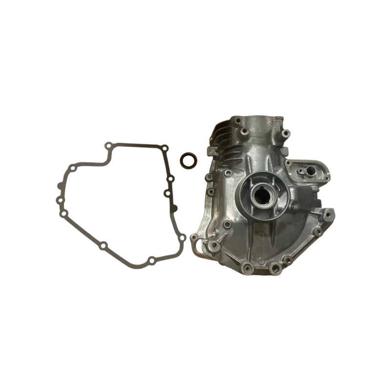 Ensemble Cylindre Short block moteur Briggs & Stratton 100602/100605/100607