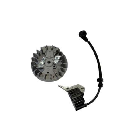 Bobine allumage tronçonneuse Mac Allister avec volant magnétique