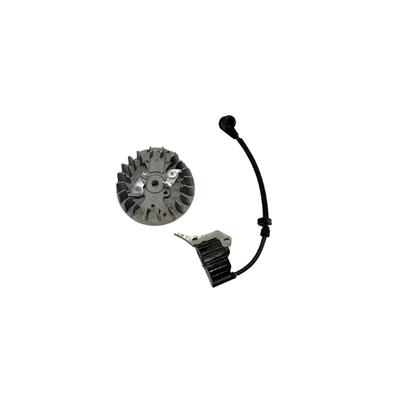 Bobine allumage tronçonneuse Mac Allister avec volant magnétique