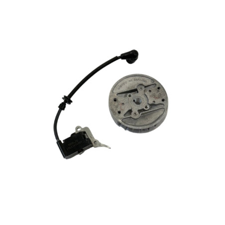 Bobine allumage tronçonneuse Mac Allister avec volant magnétique