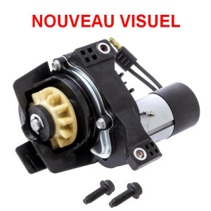 Démarreur moteur tondeuse Briggs et Stratton - 84005205