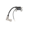 Bobine d'allumage Loncin LC1P75F tondeuse EMAK G48/53 Max48/53 - L66151606 modal atc