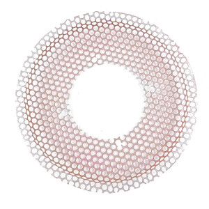 Grille de volant moteur tondeuse Briggs et Stratton