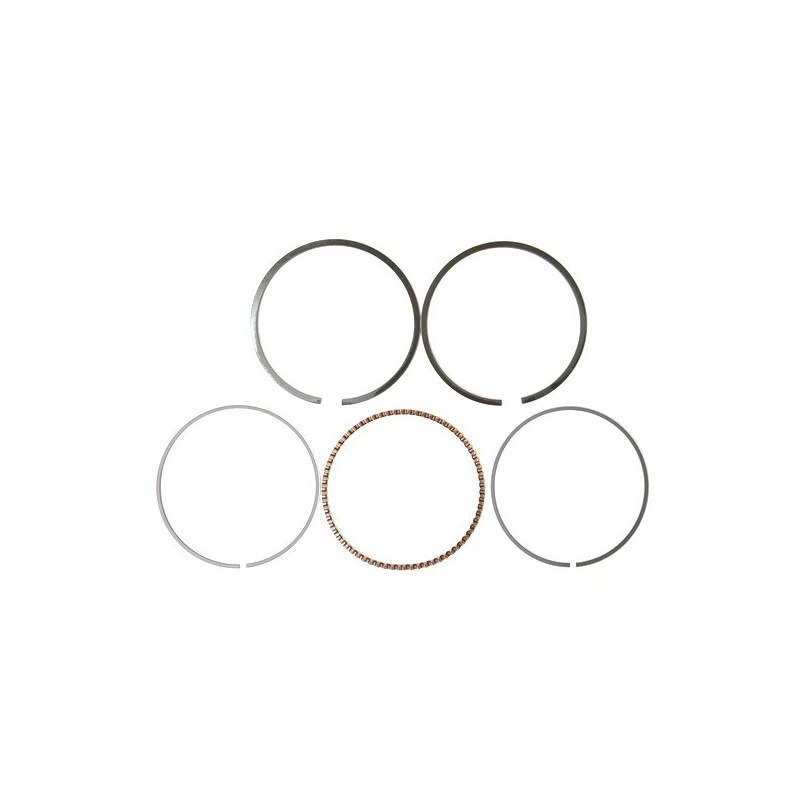 Segmentation moteur Briggs & Stratton