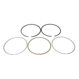 Segmentation moteur Briggs & Stratton