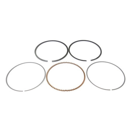 Segmentation moteur Briggs & Stratton