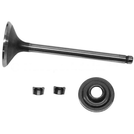 Soupape d'échappement moteur tracteur tondeuse Briggs et Stratton