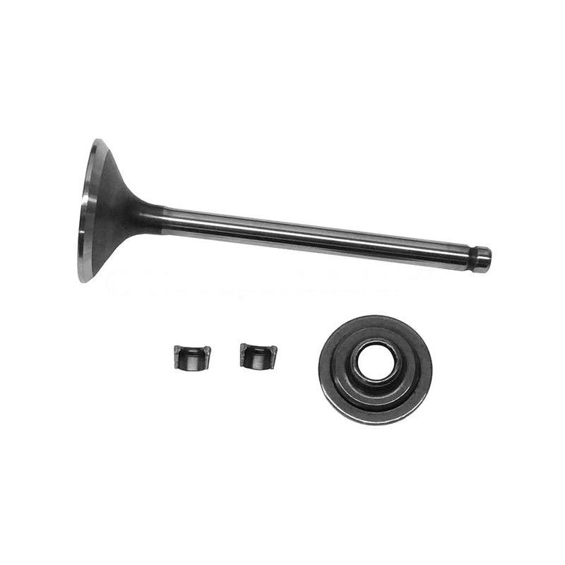 Soupape d'échappement moteur tracteur tondeuse Briggs et Stratton