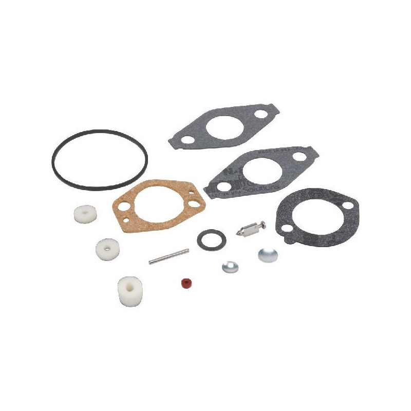 Kit joint carburateur Briggs Stratton