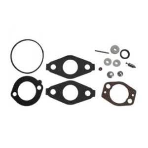 Kit joint carburateur Briggs Stratton
