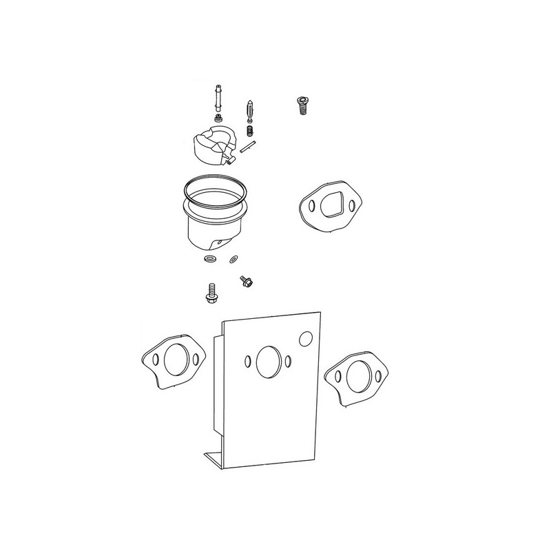 Kit réparation carburateur moteur tondeuse Emak