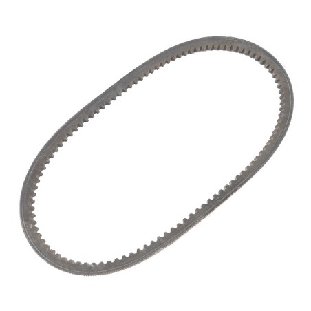 Courroie tondeuse Harry