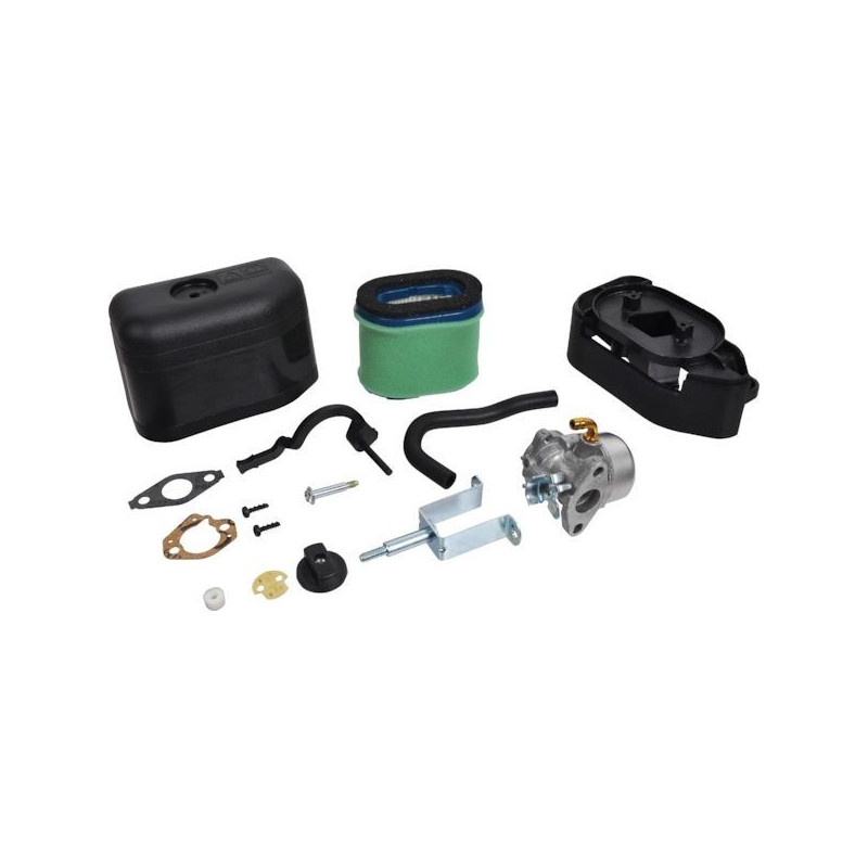 Carburateur moteur briggs et stratton