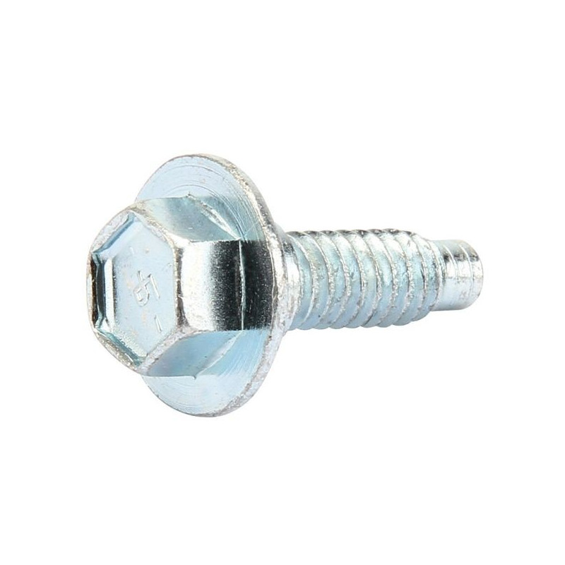 Vis carter moteur Briggs et Stratton