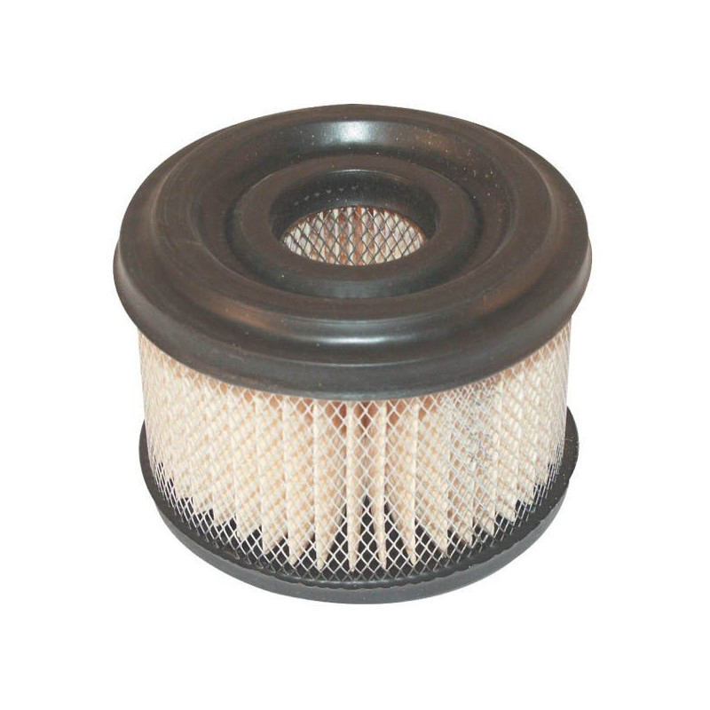 Filter à air moteur motoculteur Briggs et Stratton