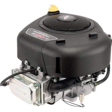 Moteur autoportée Briggs et Stratton 13cv