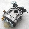 Carburateur moteur scarificateur AL-KO modal atc