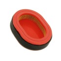 Filtre à air moteur tondeuse Mc Culloch RV150 - 577616016