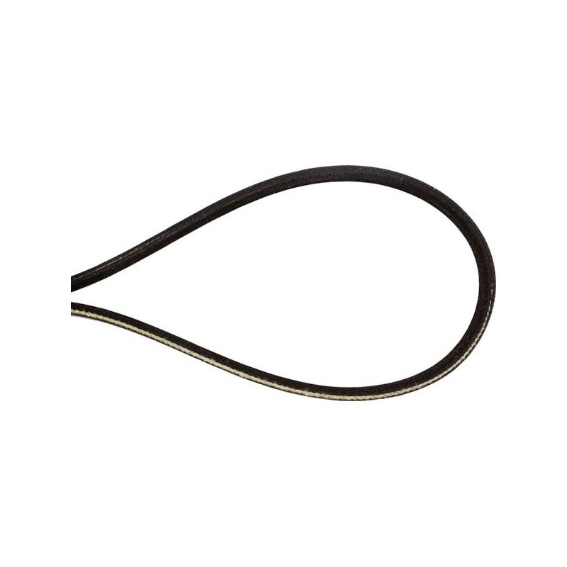 Courroie traction tondeuse Snapper