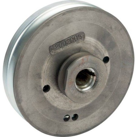 Poulie embrayage de lame tondeuse Wolf