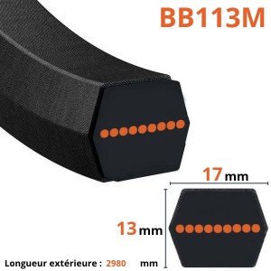 Courroie lisse hexagonale BB113M