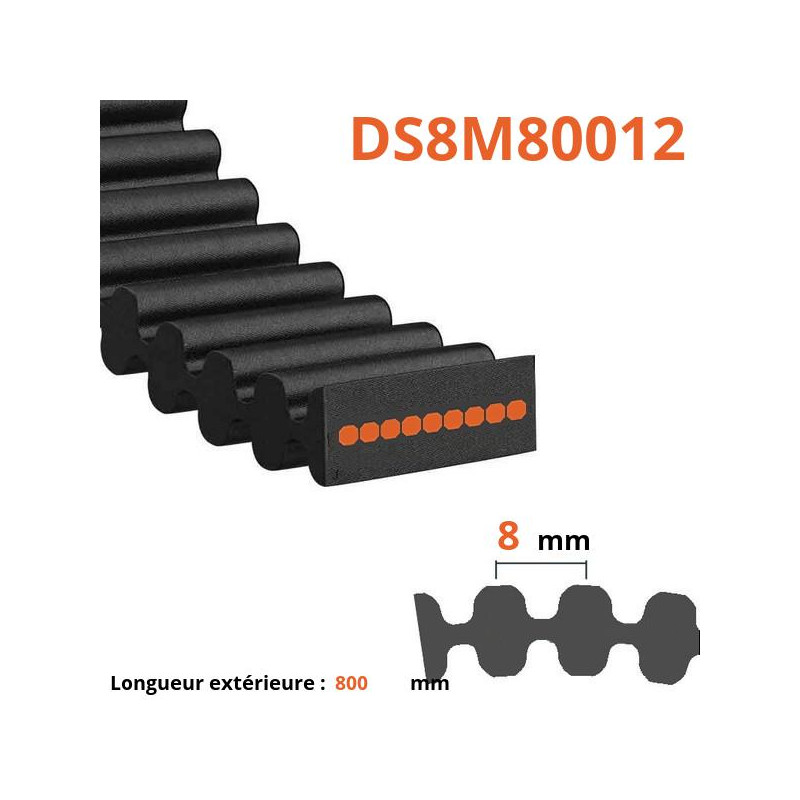 Courroie plate double dentée DS8M80012