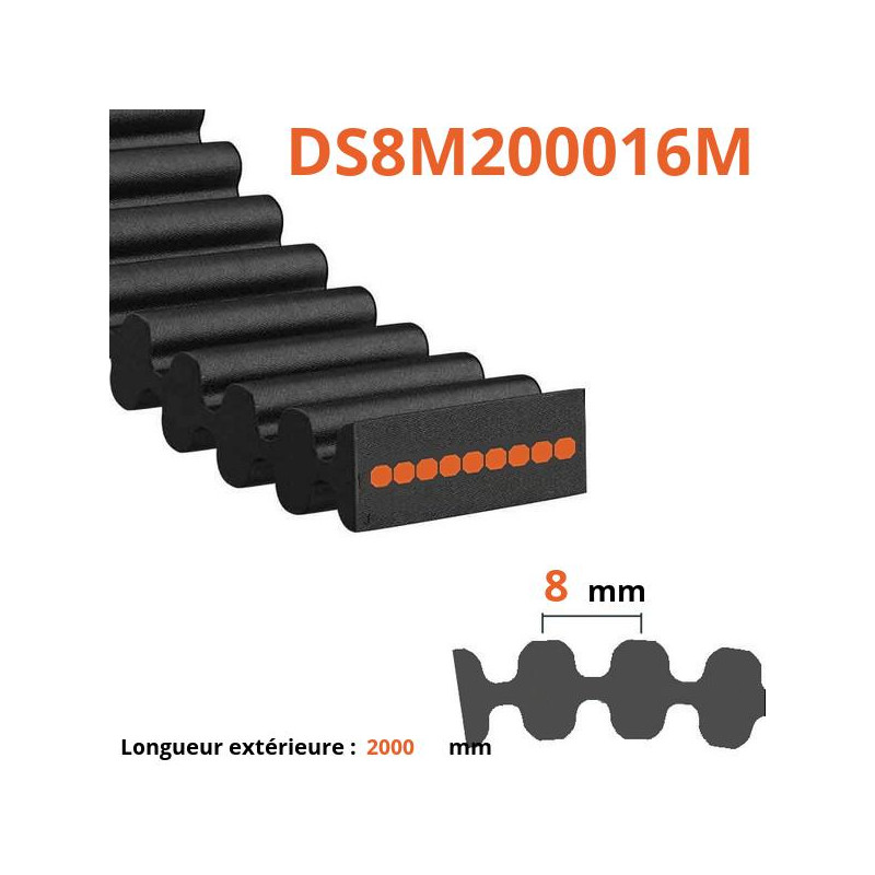 Courroie plate double dentée DS8M200016M