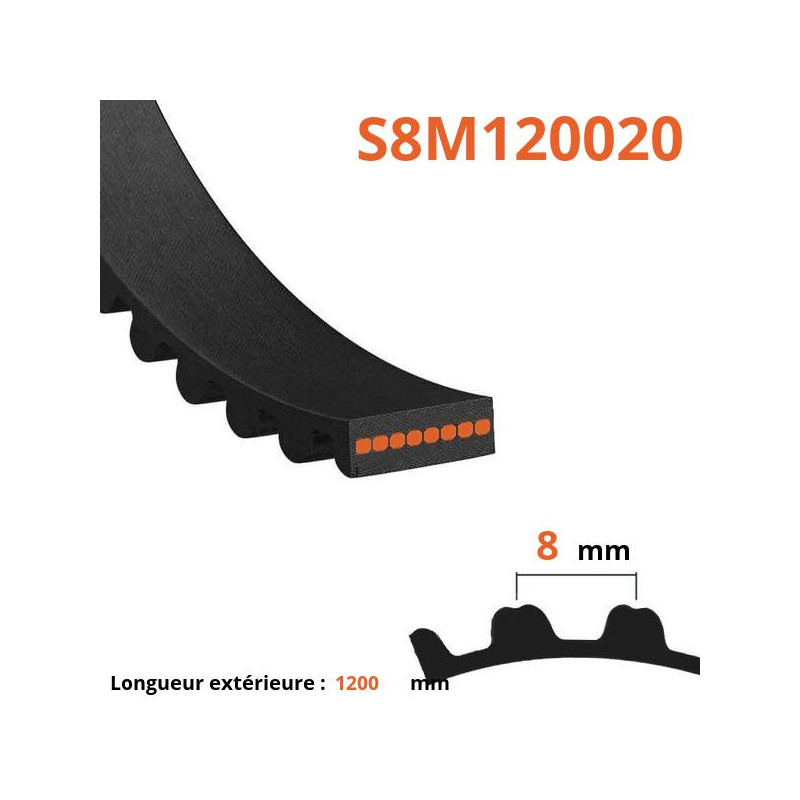 Courroie plate simple dentée S8M120020